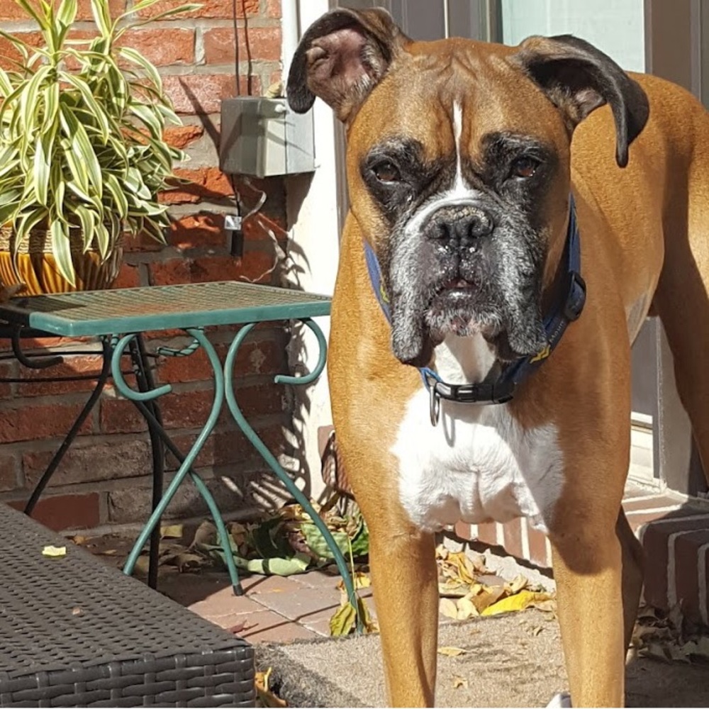 Meet your Posher, Laura